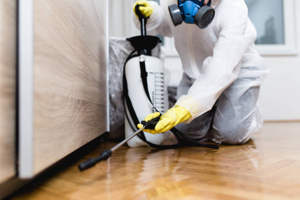 Best Best Pest Control Companies  in Minden, LA