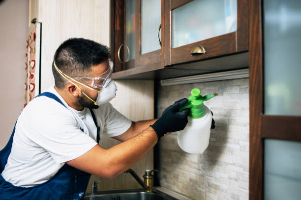 Best Mosquito Control Services  in Minden, LA