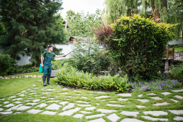 Best Best Pest Control Companies  in Minden, LA