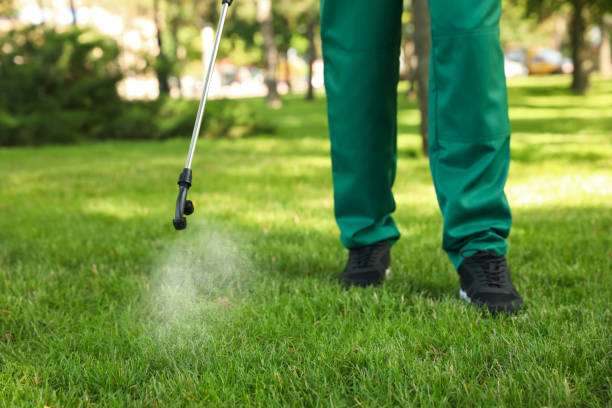 Best Rodent Control Near Me  in Minden, LA