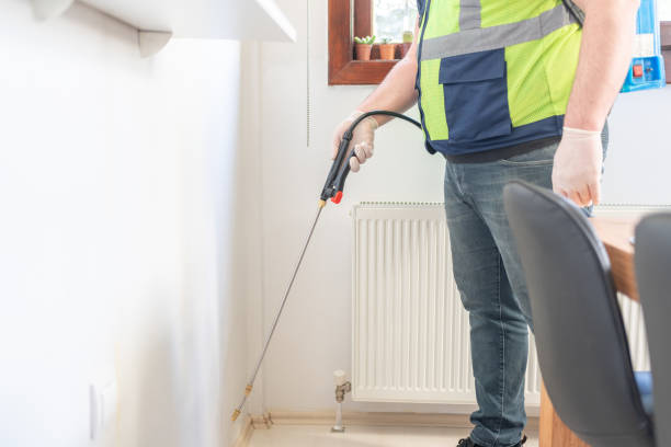 Best Emergency Pest Control  in Minden, LA