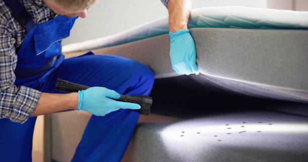 Pest Control for Restaurants in Minden, LA