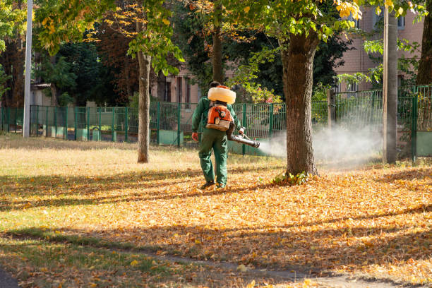 Best Rat Extermination Near Me  in Minden, LA