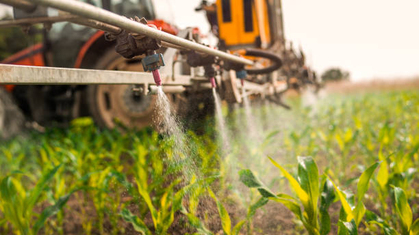 Best Commercial Pest Control Services  in Minden, LA